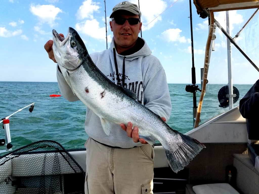 Olcott 5/18 New York Fishing Reports Lake Ontario (South Shore