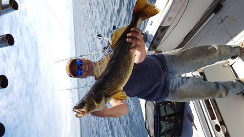 20170527_122532.thumb.jpg.97b2bdbe9c9d2cf354447aae3189b180.jpg