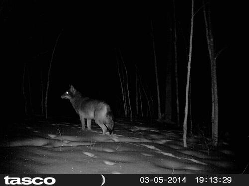 HUNT0019.JPG