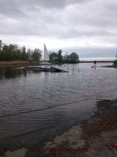 Image1495823325.104739.jpg