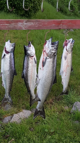 20170527_201752.jpg