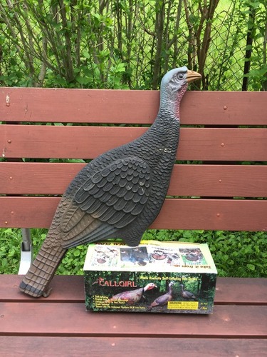 Turkey Decoys.jpeg