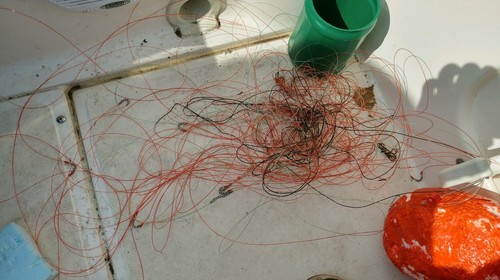 pile of line.jpg