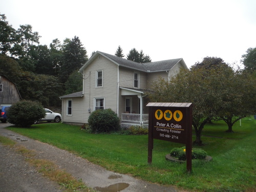 DSCF0949.JPG