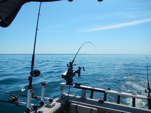 DSCN0641.JPG