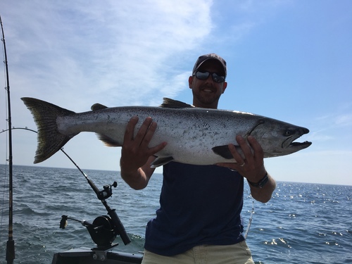 IMG_4595.thumb.JPG.f6553e96fceeabce96cb910777579647.JPG