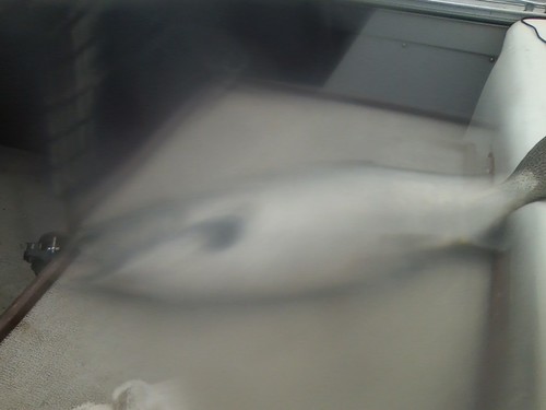 0722171018a.thumb.jpg.5d5275ad8ef3b82d6e85535ed201ec37.jpg