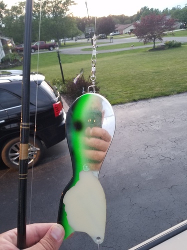 20170702_210205.jpg