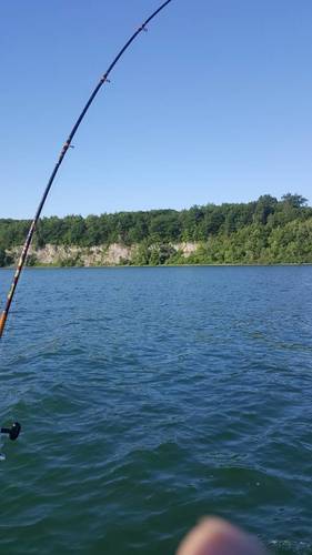 20170704_081712.jpg