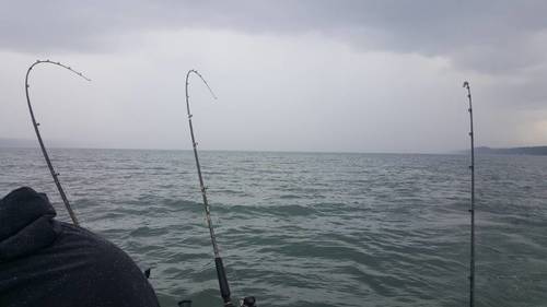20170706_105415.jpg