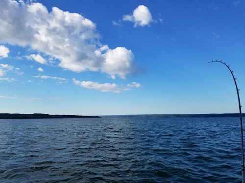 20170709_075507.jpg