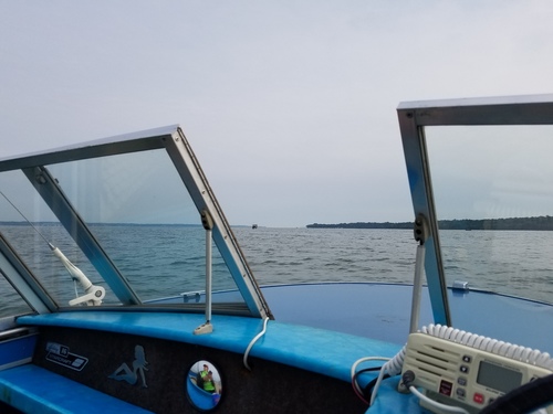 20170722_085548.jpg