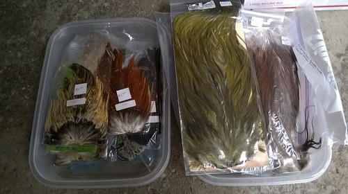 Fly Hackle 2.jpg