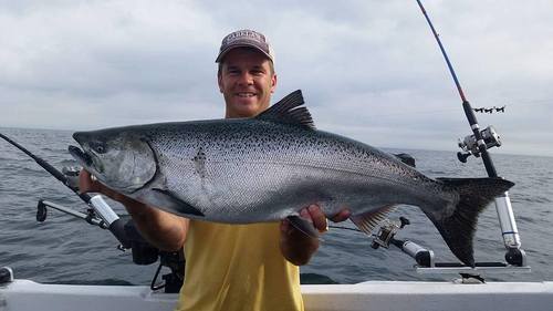 5974b6f4bff32_caseyobserversalmon.thumb.jpg.0234bf00a2f181ba989ac1cd010bca45.jpg