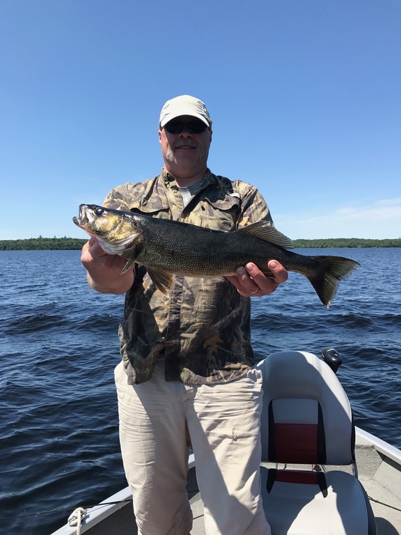 Northern Quebec Walleye Trip Walleye Lake Ontario United Lake