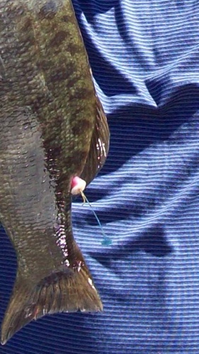 IMG_1048.PNG