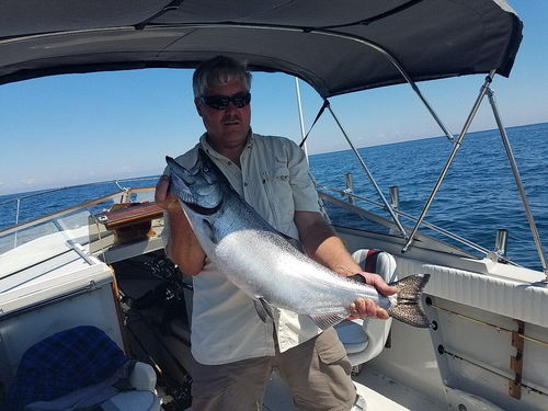 bob17lb.jpg