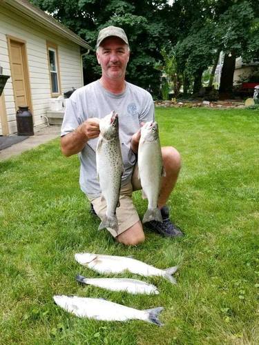trout1.jpg