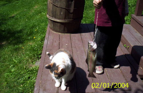 100_2292.JPG