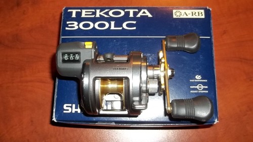 100_2428.JPG