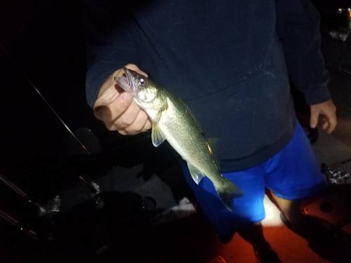 20170805_234701.jpg