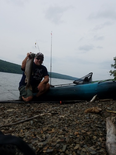 20170811_110719.thumb.jpg.7c0d0481f7f9ab2a087e0bd2c66836cb.jpg