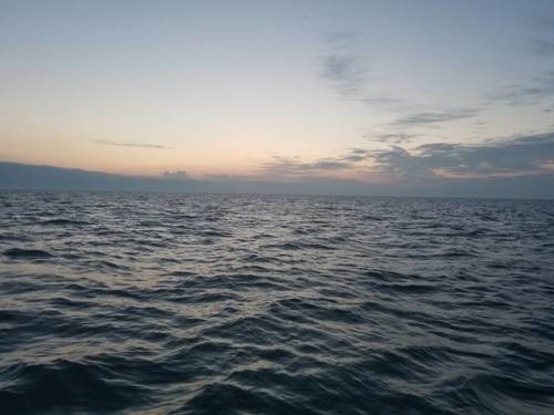20170818_060452.jpg