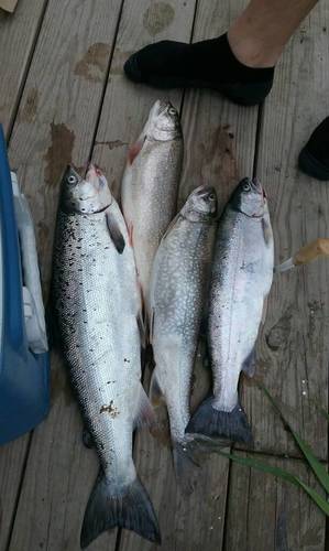 20170819_140342.jpg