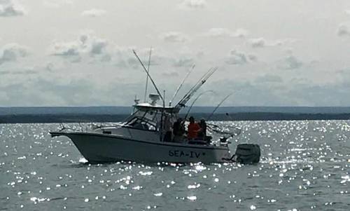 20170825_141941.jpg