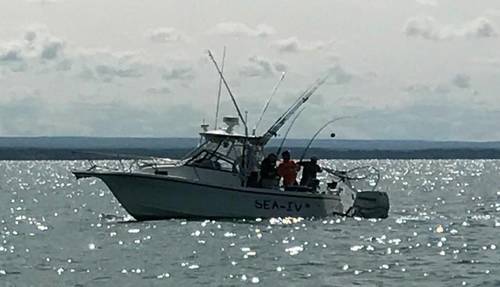 20170825_142010.jpg