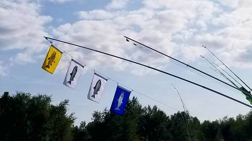 20170827_170902.thumb.jpg.dcc60c7518980b445ae15a9f62dee9f3.jpg