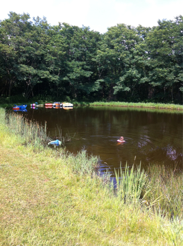 ImageUploadedByLake Ontario United1501615344.788960.jpg