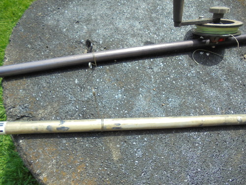 DSC00880.JPG