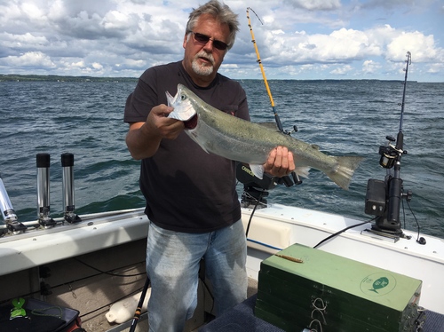IMG_0557.thumb.JPG.31483a56f8d34370c7c42ab7ba454aac.JPG