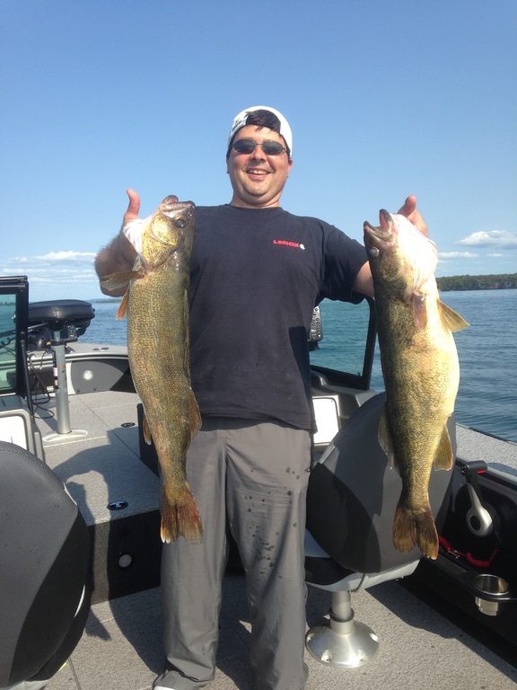 Chamount/Henderson walleye - Walleye - Lake Ontario United - Lake