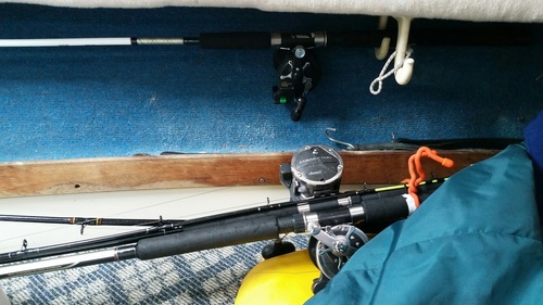 rods 4.jpg