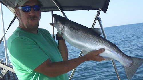 lesoneofthe fish.jpg