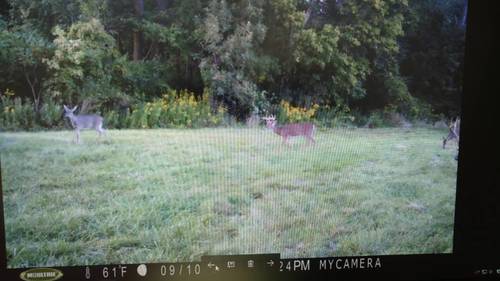 IMG_20170920_170148429.jpg