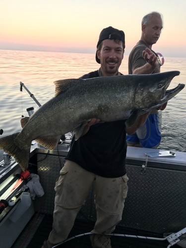 IMG_2384.thumb.JPG.790a93ae8908bfd5254ef085aa89011b.JPG