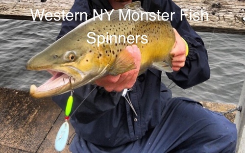 IMG_4556.PNG