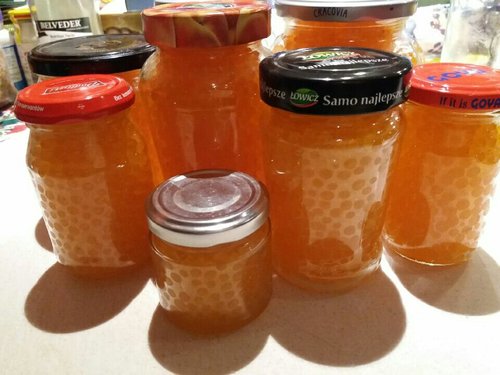 Resized_20170918_230223.jpeg