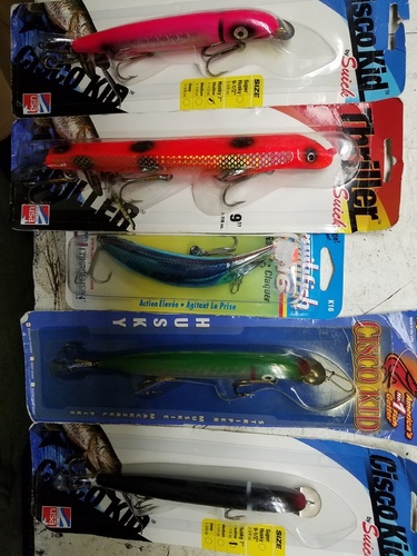 1509492360328519037248.thumb.jpg.d3c3800649b5f175853062908d5a3872.jpg