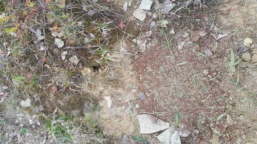 20171025_155717.jpg
