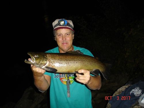 Mike Rzucidlo with a Brown from Lower River.jpg
