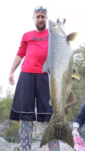 Rich Pisa of Kenmore with a Lower River King.jpg