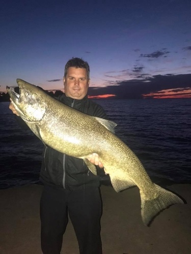 Chris Walczak Olcott Pier King.jpg