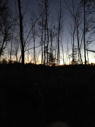 IMG_0903.thumb.JPG.172661d5e346b83cdde94d5d2bcc6a2b.JPG