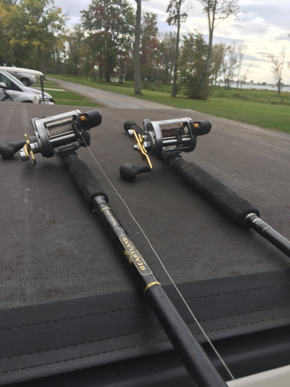 Shimano Tekota 600LC with wire - Classifieds - Buy, Sell, Trade or Rent -  Lake Ontario United - Lake Ontario's Largest Fishing & Hunting Community -  New York and Ontario Canada