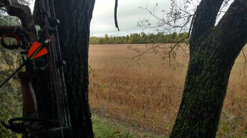 IMG_20171009_170437347_HDR.jpg