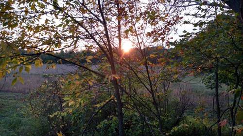 IMG_20171010_181008606_HDR.jpg